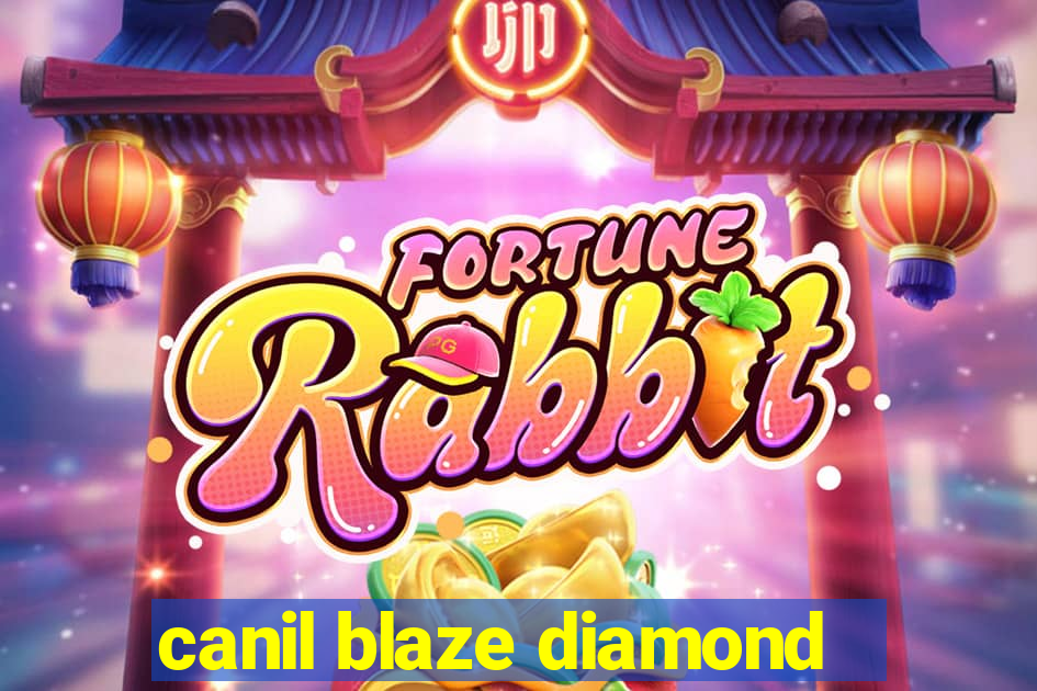 canil blaze diamond